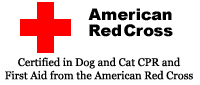 American Red Cross
