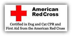 American Red Cross